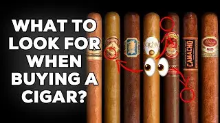 Everything You Need to Know About Picking the Perfect Cigar