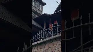Страшилище в Сочи