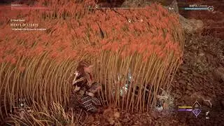 Horizon Forbidden West