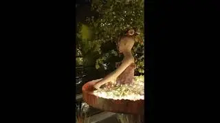 Duiven Kerstshow 2018 1