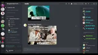 Discord WITH FRIENDS. DANK MEMES