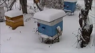 Уборка пчел 2022