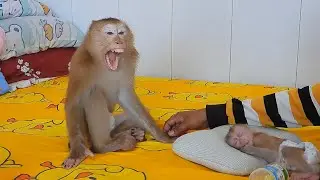Adorable Boy Olly Rejecting Mom To Take A Nap On Midday