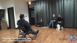 Consultation: Ray | Client Referral, Watch Jesse Settle A Puppy In Minutes, Typical Puppy Behavior