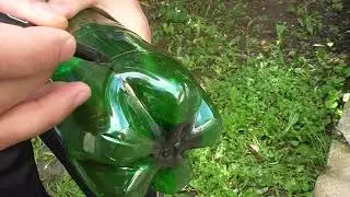 Поспели черешни. И опять случайная съёмка
