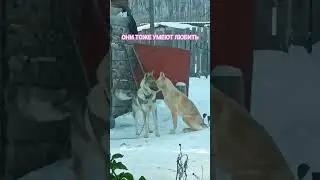 #БРОДЯЖКА