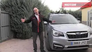 Neumaticos Michelin Cross Climate para Subaru Forester