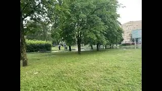 3 июля 2022 г.