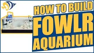 How to build a FOWLR Aquarium (fish only with live rock)