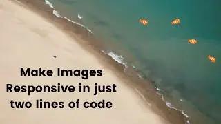 How to make images responsive in HTML with just 2 lines of CSS