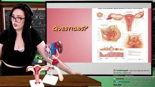 Streamer explains what does it fill like inside a BAGINA