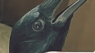Когда-нибудь видели воронье ухо?