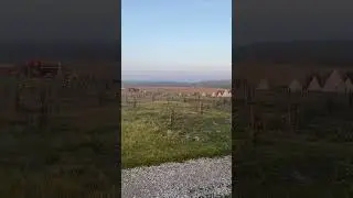 Доброе утро☀️ из «Дикая Мята Кэмп» 
