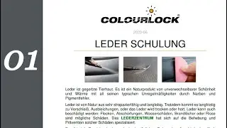 [01] Введение, рынок услуг по реставрации кожи, предложение услуг - Colourlock Leather Training 2016