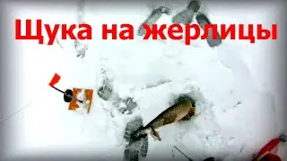 Просто рыбалка на щуку на жерлицы зимой