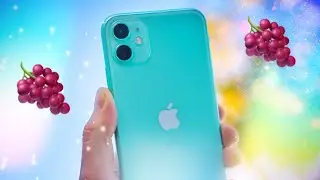 iPhone 11 (Not Pro) - I Shot a Music Video.