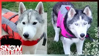 SAFETY FIRST