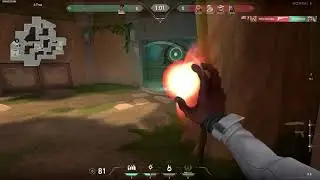 1v4 Situation