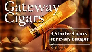 PERDOMO, ROCKY PATEL, and OLIVA - 3 CIGAR BRANDS TO GET YOU STARTED