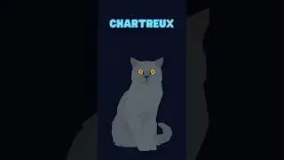 All Cat Breeds A-Z