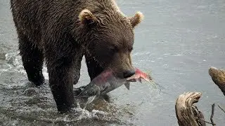 Russia 2017, Kamchatka, Part 1