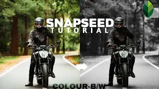HOW TO CHANGE BACKGROUND COLOUR TO BLACK AND WHITE | SNAPSEED FOR SELECTIVE COLOR | ANDROID | IPHONE