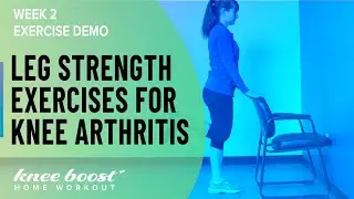 Leg Exercises for Knee Osteoarthritis (Physiotherapist Demo)