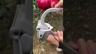 rural life زندگی روستایی