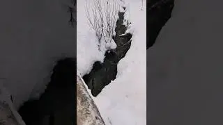 Поездка на родник.