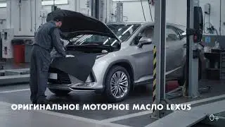 Оригинальное моторное масло Lexus