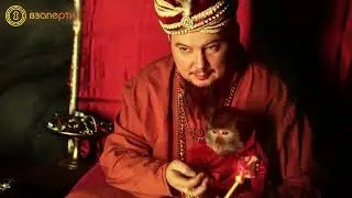 Квест Индиана Джонс и затерянный храм от Взаперти//Куда сходить в Питере