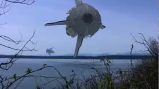 Alien spaceship CGI