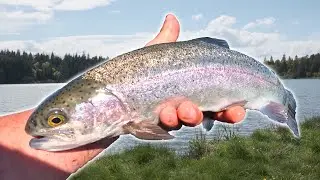 48 Hours Ultimate Spring Time Adventure!