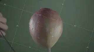 Mango rotating with loop on green screen for chroma key