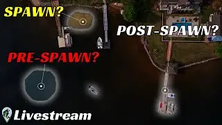 3 Easy Steps to Find Bass This Spring | Livestream 