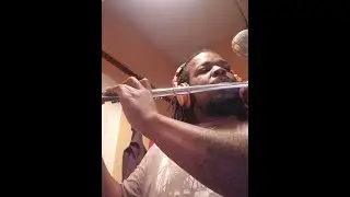 Chrysanthemum Update No.1 - Flutes