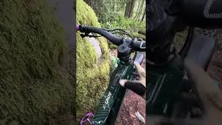 Devinci E-Troy LTD Bosch