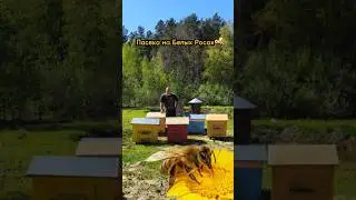Ульи и колоды уже на участке!👌👍🐝