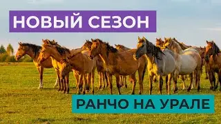 Ural Ranch | Aboriginal Horse Breeding | New Season 2025