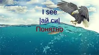 300 фраз на английском