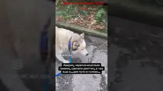 Жизнь одна у всех. 
