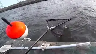 HUGE FLOATS GO UNDER THE WATER