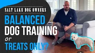 SLC Dog Owners: Balanced Dog Training or Pure Positive Dog Training?