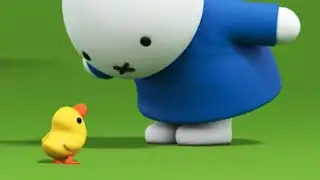 Miffy and the Duckling | Miffy | Sweet Little Bunny | Miffy New
