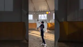#horse #pony #horsejumping #equestrian #ponypower #лошади #horseplay #riding #ponylover #bestpony 😌