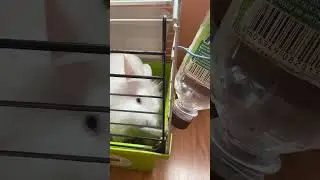 Когда проснулся после бурных выходных😂😂😂