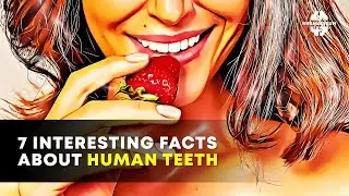 7 Interesting Facts About Human Teeth | How To Protect Your Teeth | Unknown Science Knowledge Facts