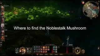 Where to find the Noblestalk Mushroom - Baldur's Gate 3