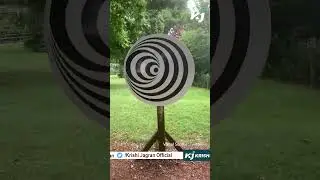 Is This Optical Illusion 2D or 3D ? Network Users Are Perplexed By a Bizarre Viral Video
