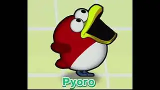 bird.mp4